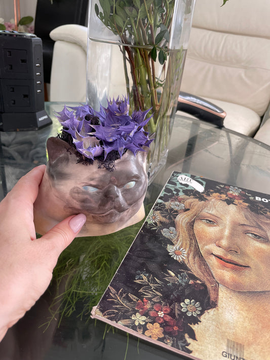 Cat Head Planter – Sculptural Concrete Decor