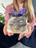 Cat Head Planter – Sculptural Concrete Decor