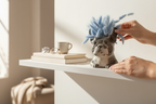 Dog Head Planter – Sculptural Concrete Vase